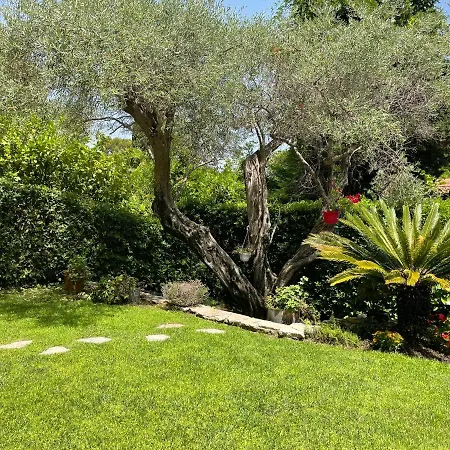 Garden Cap D'antibes Appartement *