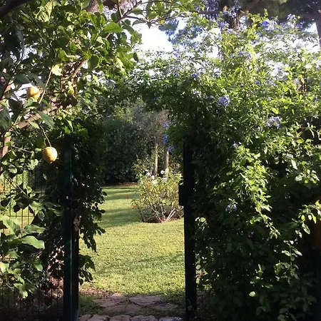 Apartment Garden Cap D'antibes Antibes