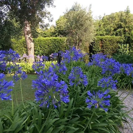 Garden Cap D'antibes